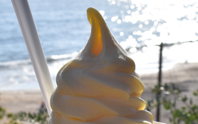New Crystal Cove Rewards!